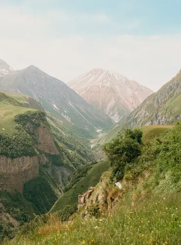 Lush green valley between mountains