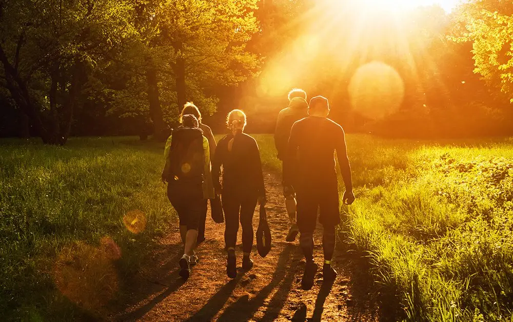 People walking on a sunlit path