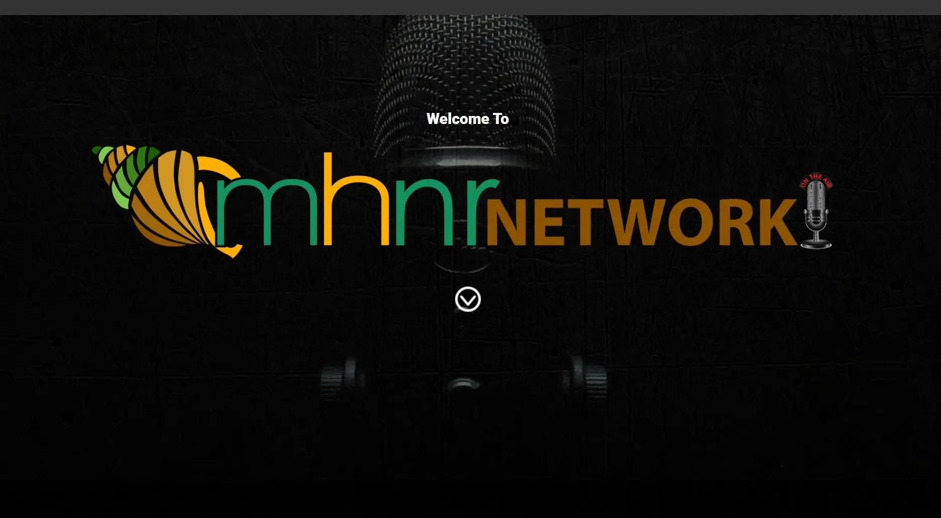 Microphone logo with network text