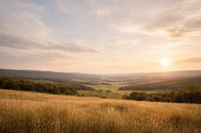 Advocacy and Public Engagement